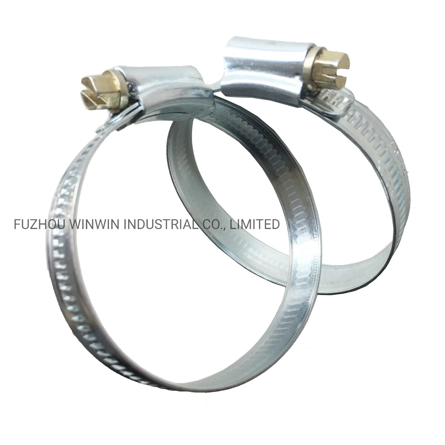 Professional British Type Hose Clamp with Slotted Screw (WW-BHC05)