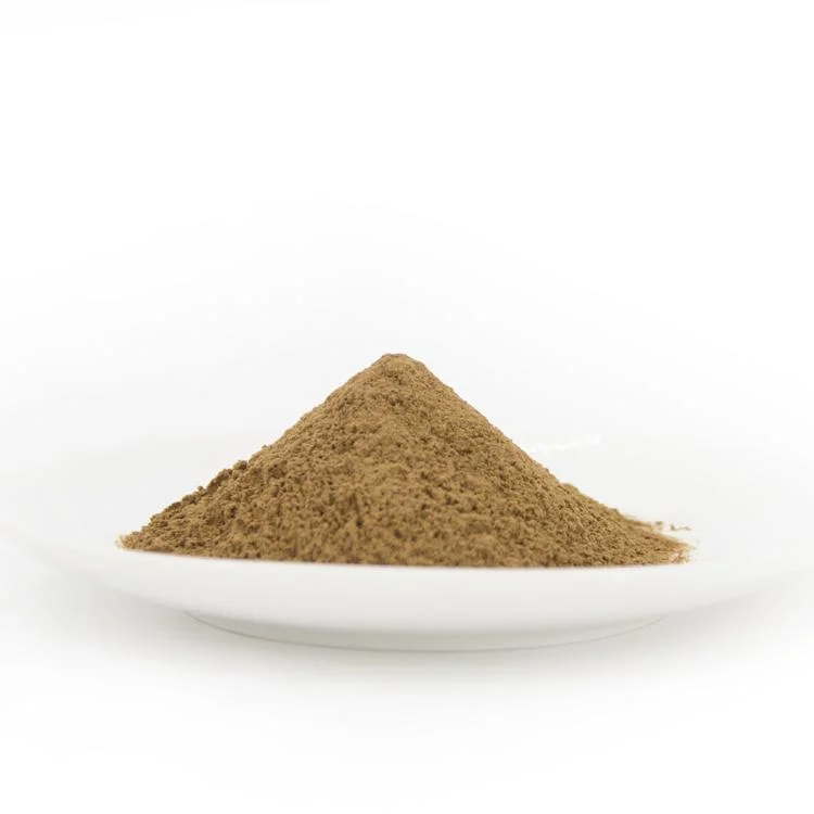 High quality/High cost performance  Ginkgo Biloba Leaf Extract Powder CAS 90045-36-6