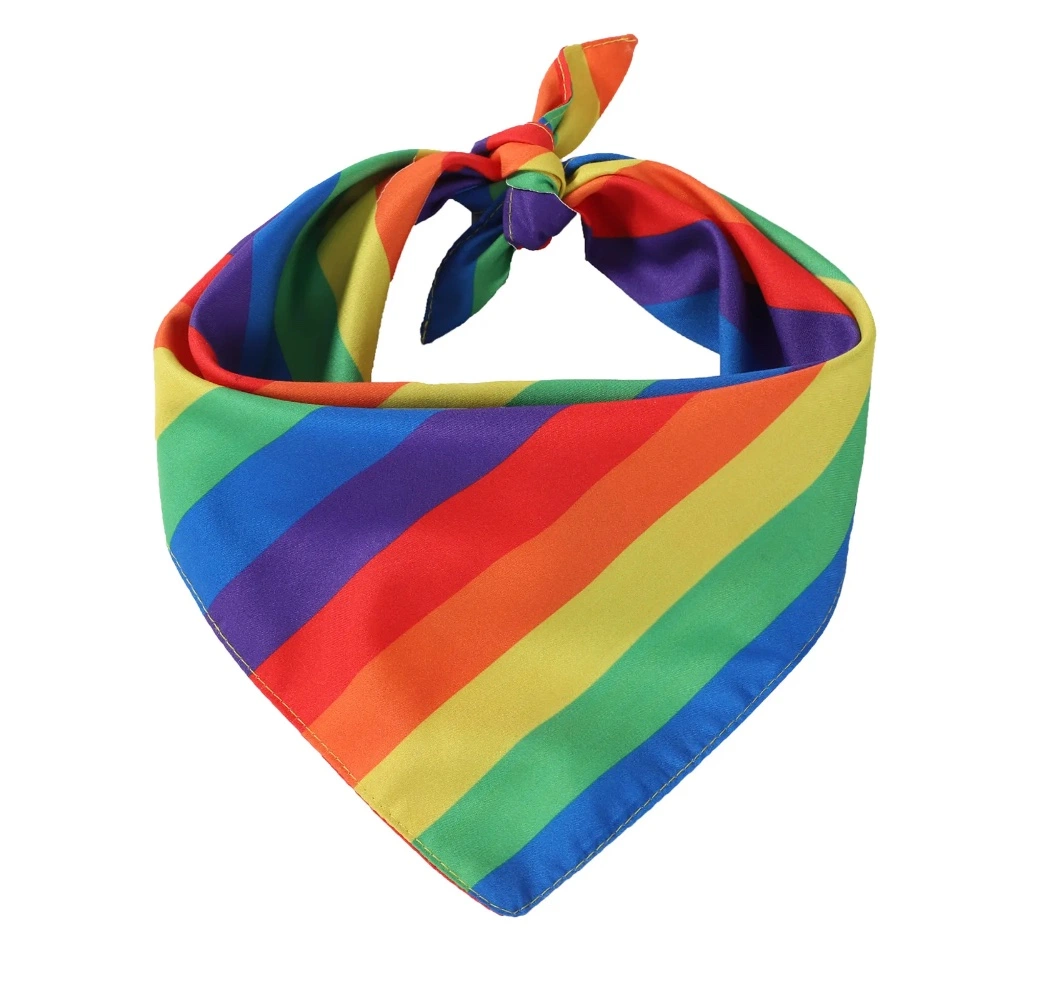 Custom Print Wholesale/Supplier Sublimation Rainbow Hair Hoop Dog Bandana