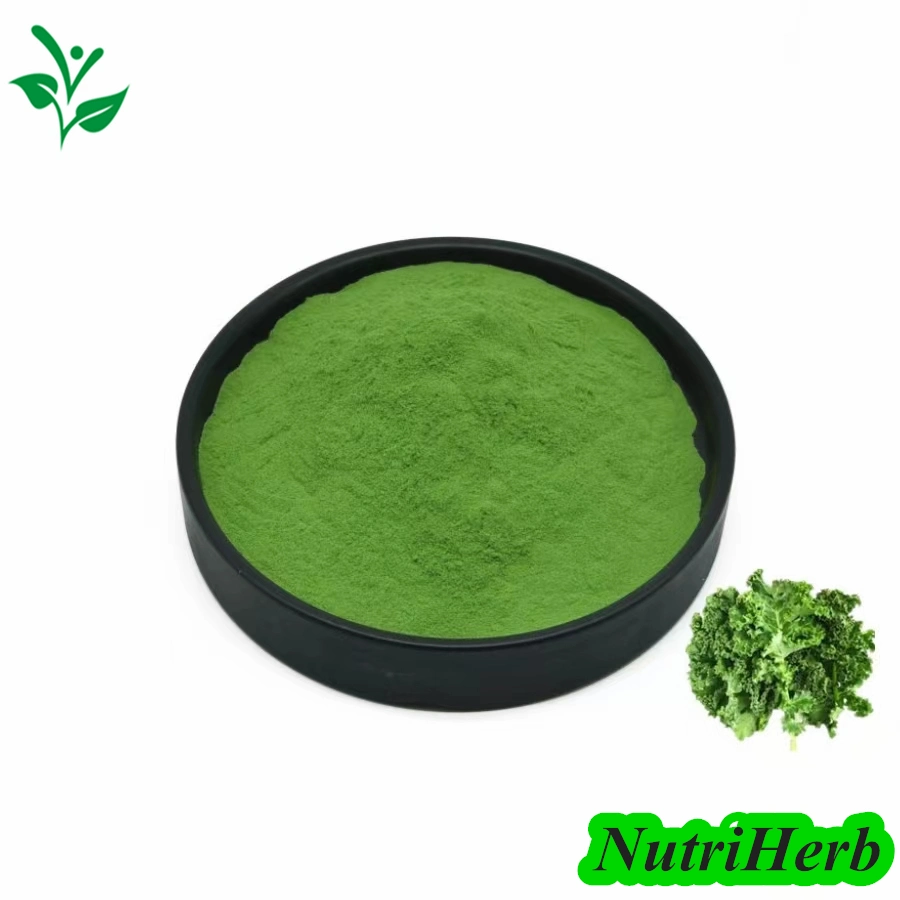 Wholesale/Supplier Dehydrated Cabbage Powder Cabbage Vegetable Powder