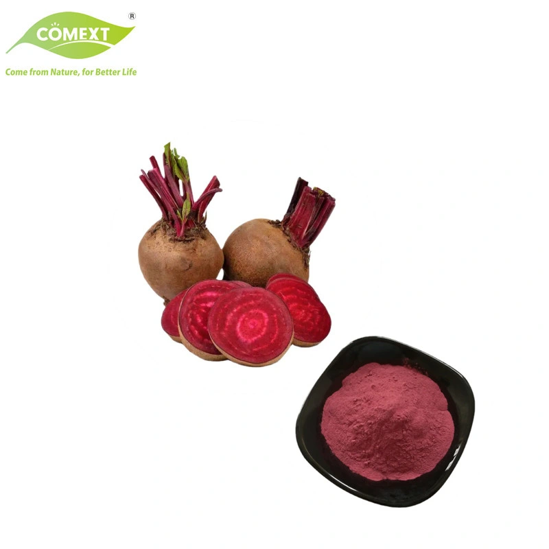 100% Pure Natural Vegetable Juice Powder Beet Root Extract Beta Vulgaris Powder