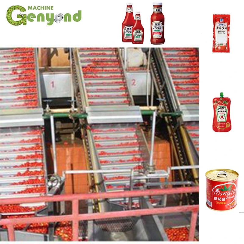 Automatic Semi-Automatic Tomato Paste Sauce Tomato Ketchup