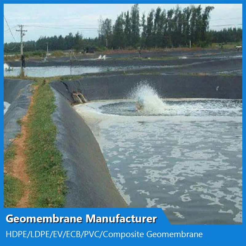 Épaisseur 1mm-2mm Prix de la géomembrane en HDPE pour revêtement de barrage, Fournisseurs de géomembrane en HDPE pour réservoir d'eau.