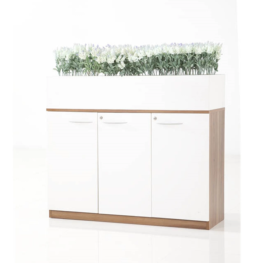 Office Furniture Wood Combine File Cabinet Low Flower Storage