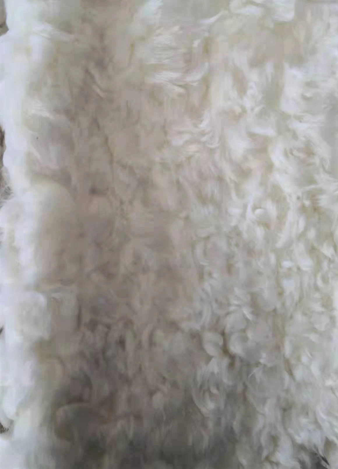 Venta de Shearling Sheepskin Fábrica Real de piel de cordero lana rizada Origen Australia para muebles