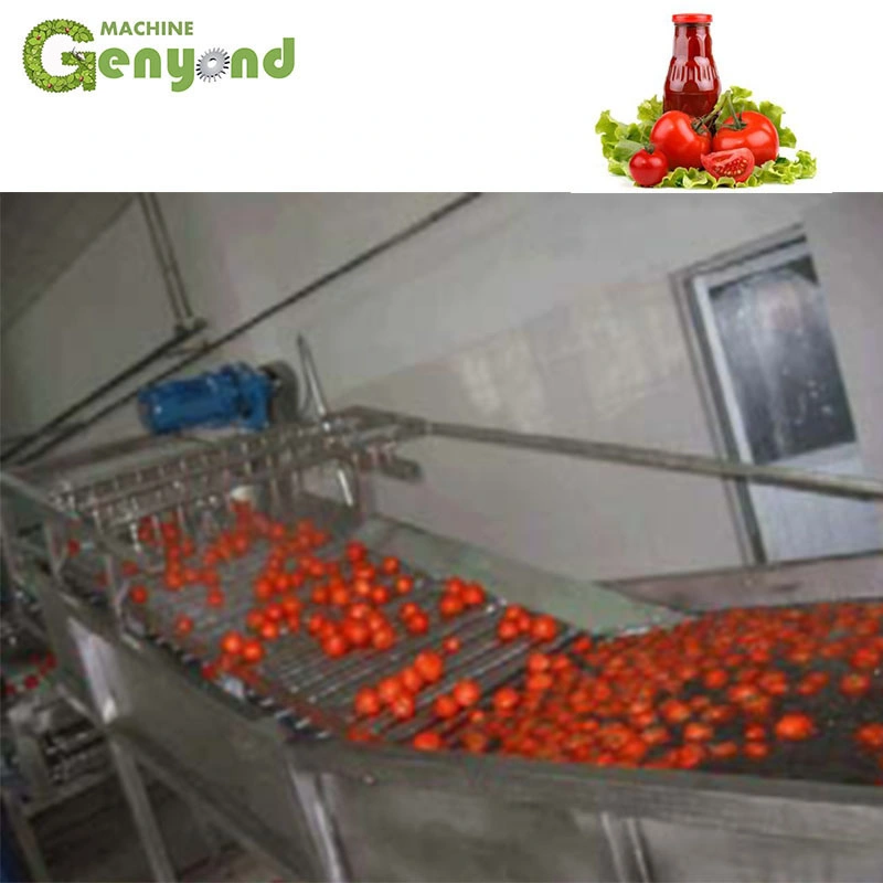 Industrial Fruit Vegetable Washing Machine