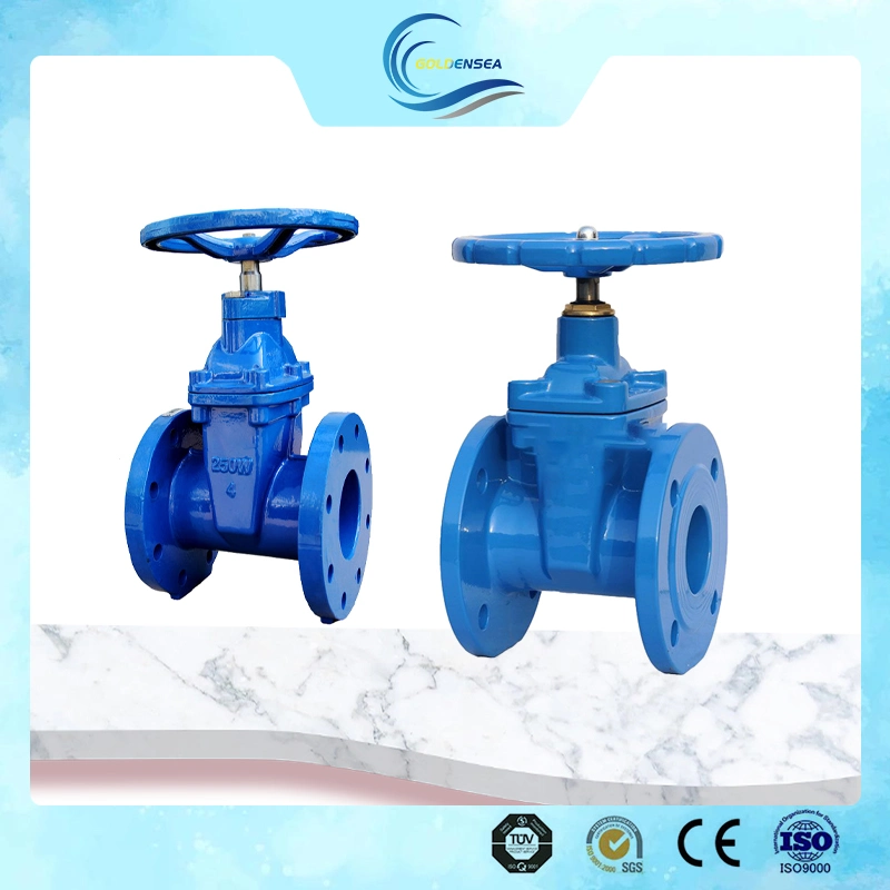 Industrial Cast Ductile Iron Rising Stem Osy Soft Seated Water Gate Valve Adjust Flow and Pressure Gate Valve