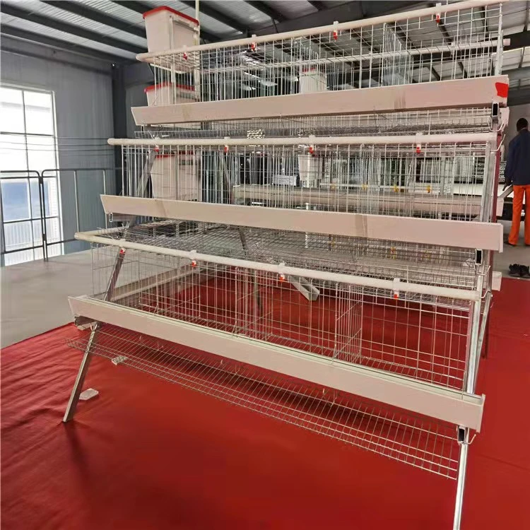 Chicken Farming/Farm Equipment/Machine Broiler Layer High Rate Baby Chicken Cage