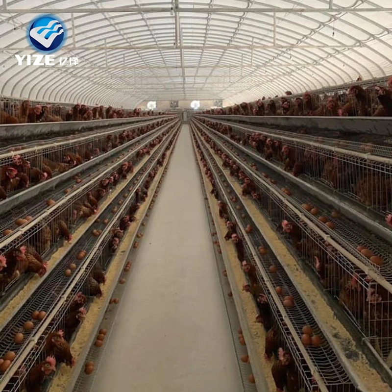 Yize Factory Design Chicken Wire Cage Big Capacity Cages for Hens