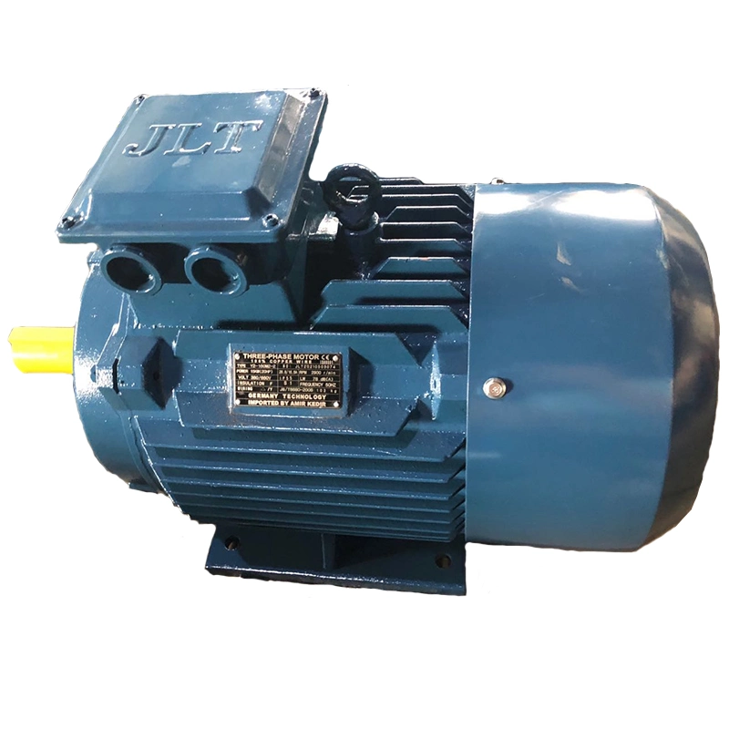 18.5 Kw IP 55 Adjustable Speed AC Electric Motor