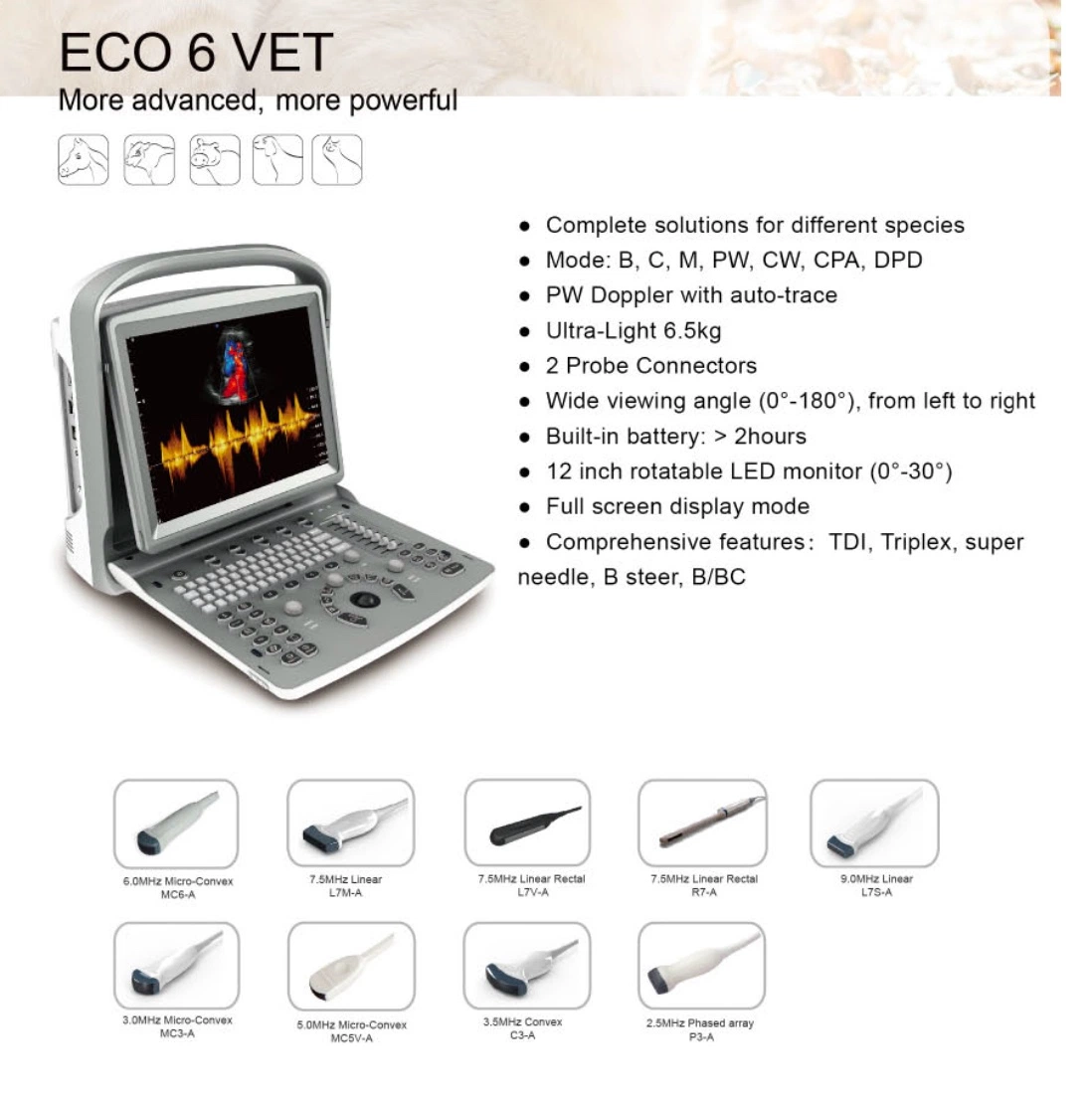 Chison Eco3exp Color Portable Doppler Ultrasound Machine Veterinary Ultrasound Scanner