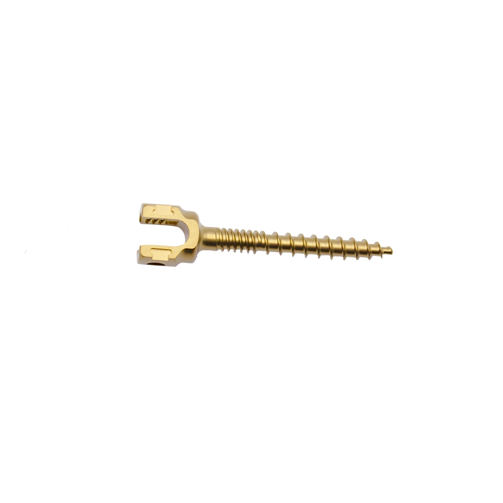 Sterilized, PE Bag, Carton Package Spinal Cross Link Pedicle Screw