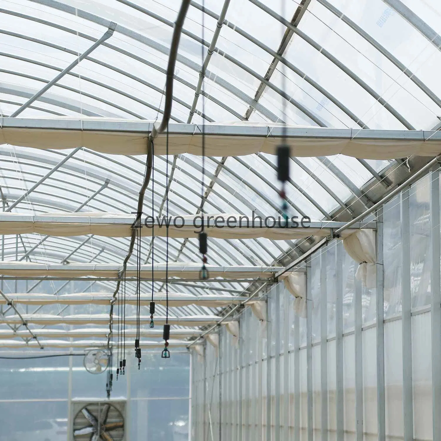 Connected Greenhouse with Po Film and Evaporative Cooling Pad for Rose/Tulip/Tomato/Pea