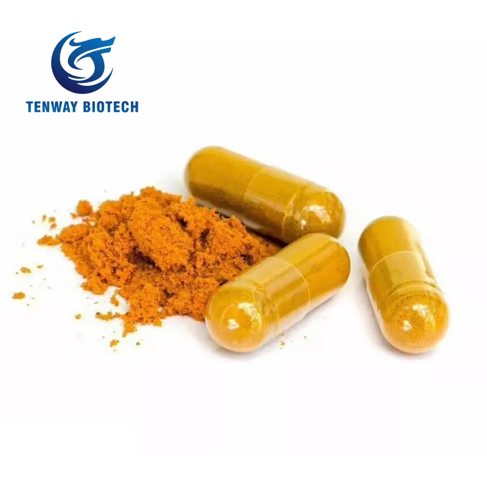 High Purity 98% Food Ingredient/Food Additive Curcumin Turmeric Extract Powder as Food Coloring