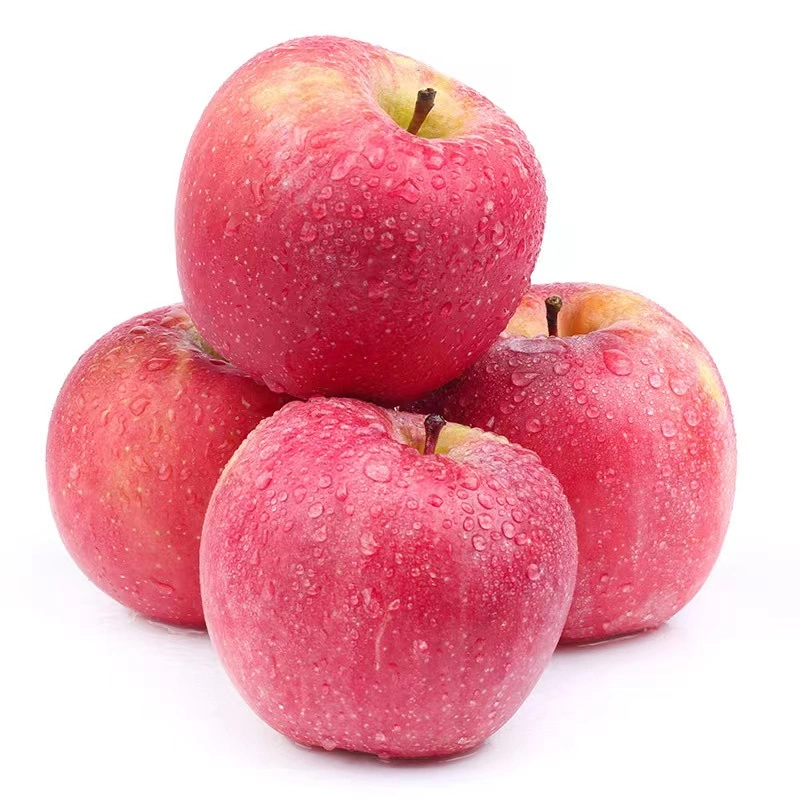 New Crop (SGS AND ISO AND FDA) Gala Apple Wholesale/Supplier