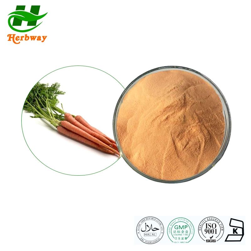 Herbway Botanical Extract Natural Supplements Carrot Juice Extract Powder Daucus Carota L. Var. Sativa DC. Extract Powder