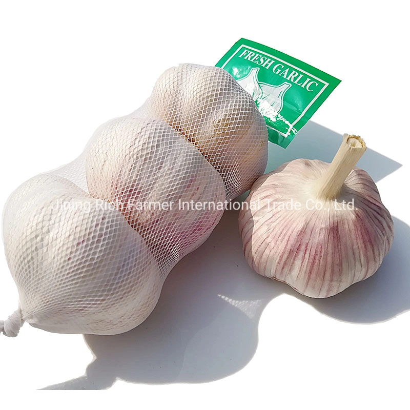 Pequenas embalagens 3PC 5HP 500g 1kg China Alho fresco