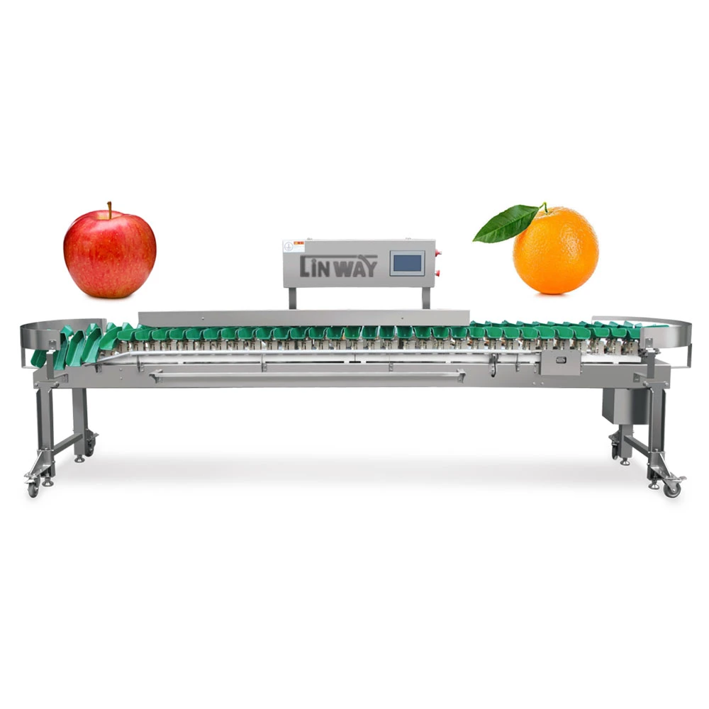 Grader Sorting Machine for Fruit Weight Sorting Machine