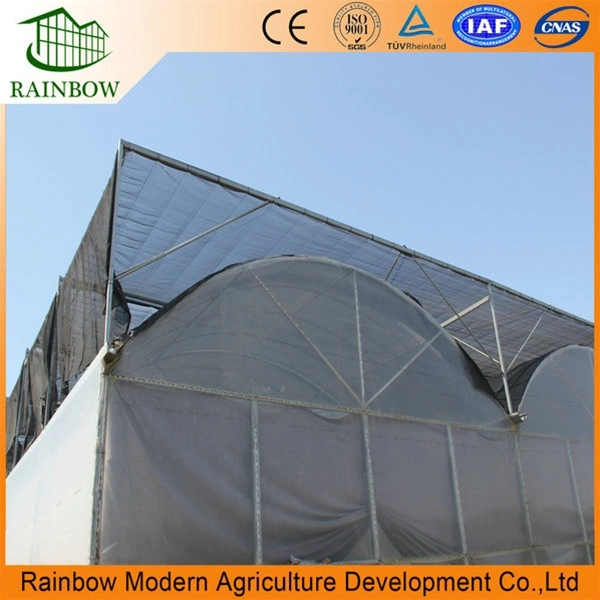 Agriculture Hot-DIP Galvanized Steel Film Vegetables Greenhouse