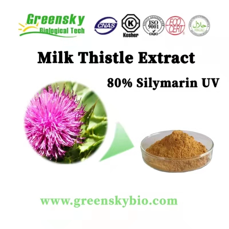 Food Supplement Milk Thistle Dry Extract Powder Silybin+Isosilybin 80% Silymarin UV Plant Extract