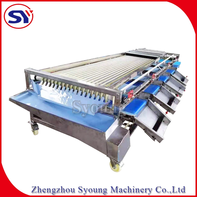 Jujube Date Longan Track Fruit Sorting Grading Machine