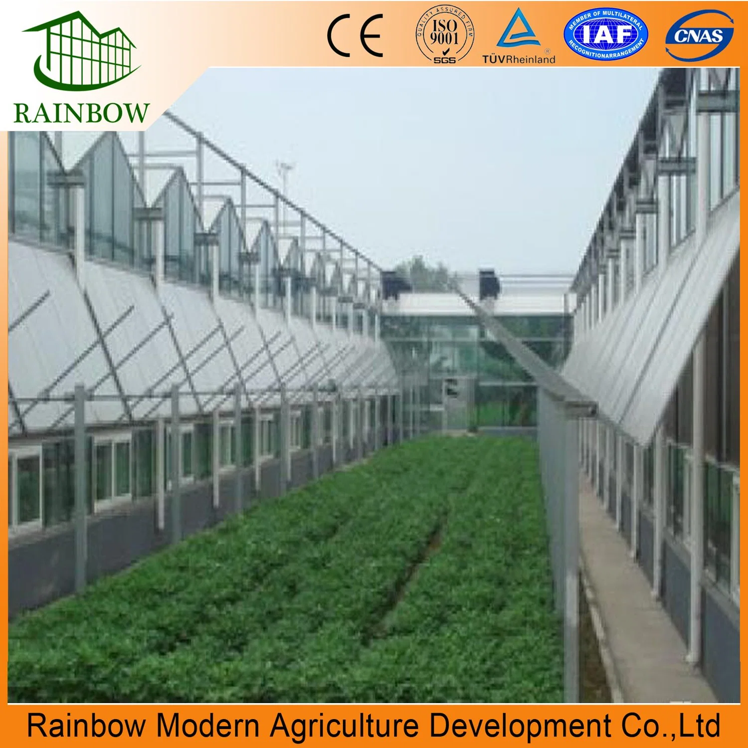 Strong Structure Ventilation System for Greenhouse