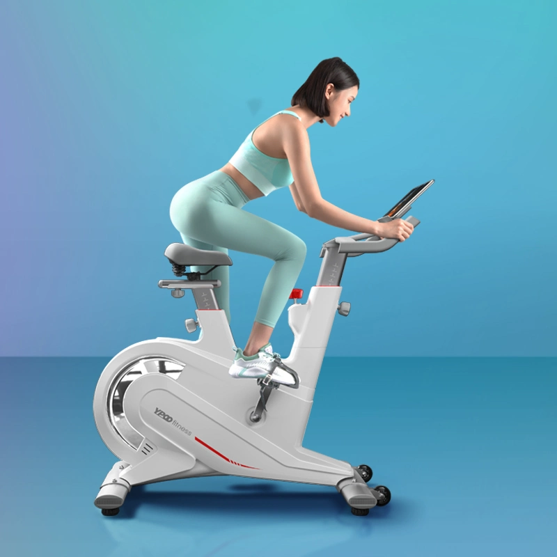 Ypoo CE Approved Spin Bike for Home Use Bike Spinning Spin Indoor Spinning Bike Custom Logo Spinning