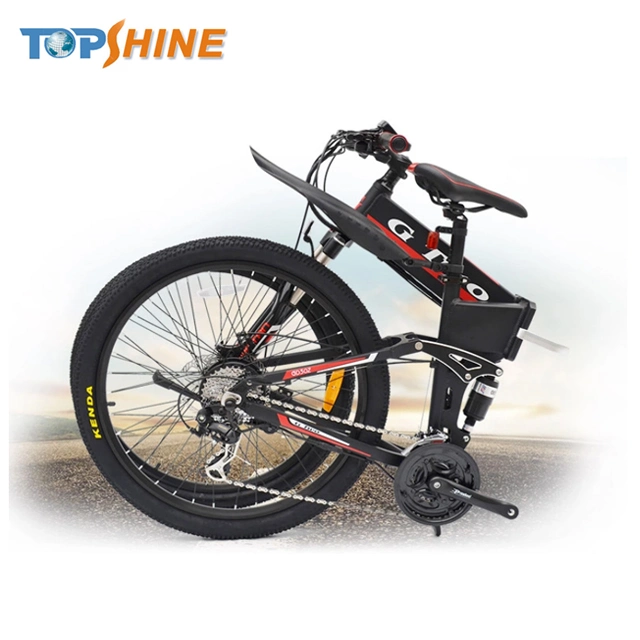 Customizable Logo Folding Electric Bike with GPS Tracker Stereo Speaker Odometer