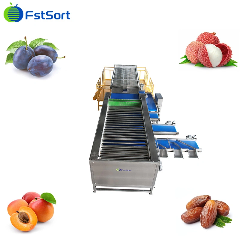 Fstsort Factory Price Olive Sorting Grading Machine Fruit Sorter Grader/ Lychee Grading Classifying Machine/ Olive Caper Grading Sorting Machine