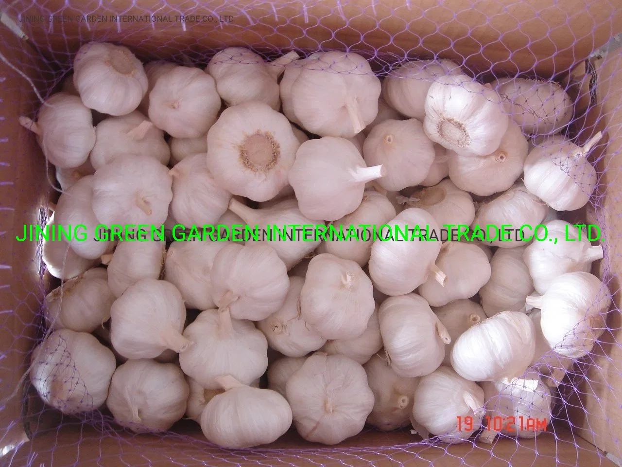 2022 Neue Ernte frischer Knoblauch Erfahrung Direktversorgung Top-Qualität Knoblauch frisch China Herkunft Niedrig Preis frei Probe 4,5cm,5,0cm,5,5cm,6,0cm,6,5cm, rein &amp; normal weiß