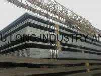 Have Own Direct Mill Wear-Resistant Steel Plate (WNM450)