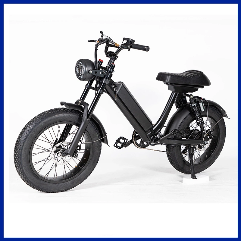 20 Zoll Folding Fat Tire Ebike