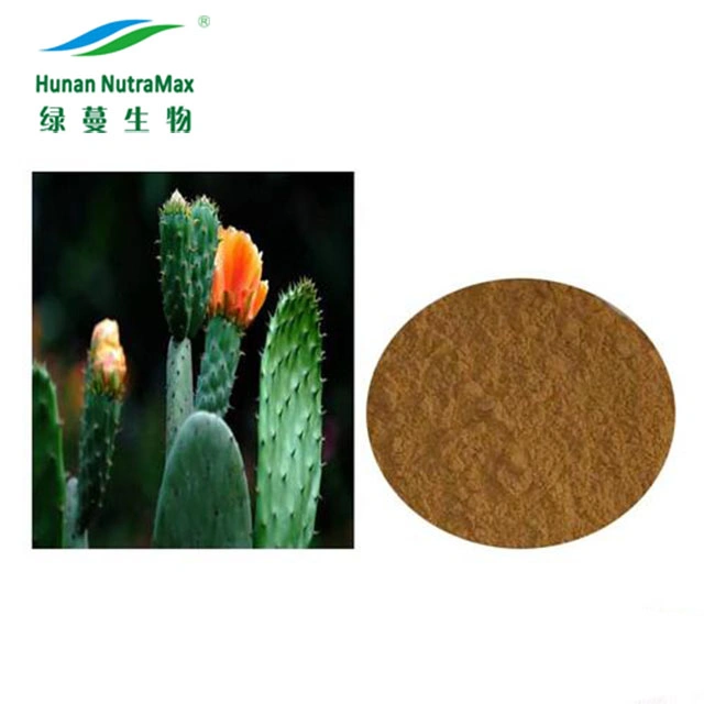 Cactus Extract Powder Opuntia Dillenii Haw Extract Powder 4: 1~20: 1