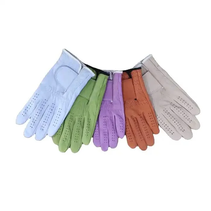 Golf Sport Gloves Male Embroidery Logo White Cabretta