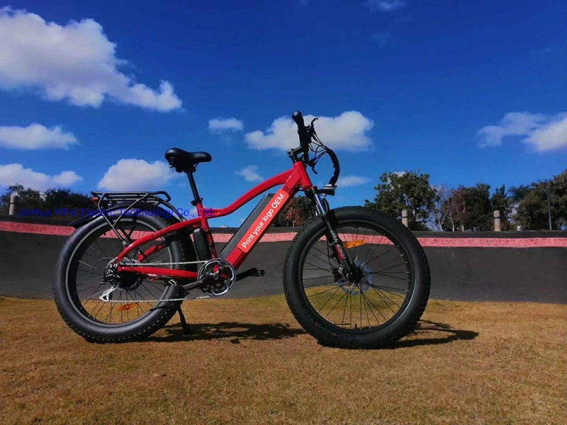 26inch Mountain Fat Tire Ebike off Road Riding Super Electric Bike with Battery and Pedals Assistant E-Bicycle China