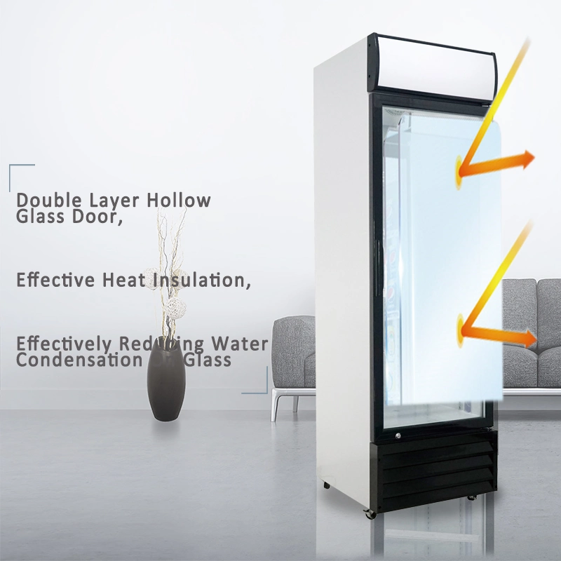 400L Capacity Beverage Cooler and Refrigerator with Glass Door