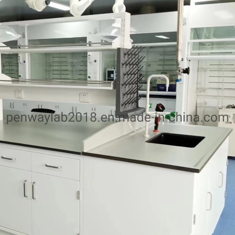 Steel Cabinet Science Lab Furniture Lab Table/ Phenolic Top (2500L*750Wmm) Black & Offwhite