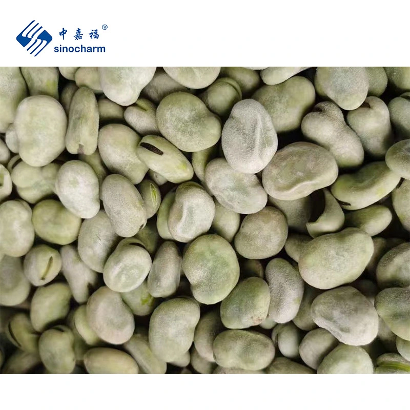 Sinocharm HACCP Wholesale Price 10kg Bulk 15-25mm White/Green Frozen Broad Beans