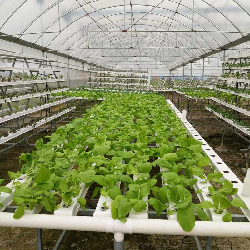 Customized PVC Channel Commercial Hydroponics Systems for Greenhouse Plant