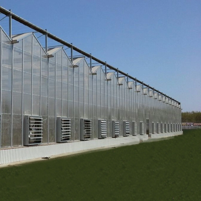 Cheap Price Customized Multi Span Agricultural Garden House Plastic Sheet Greenhouse