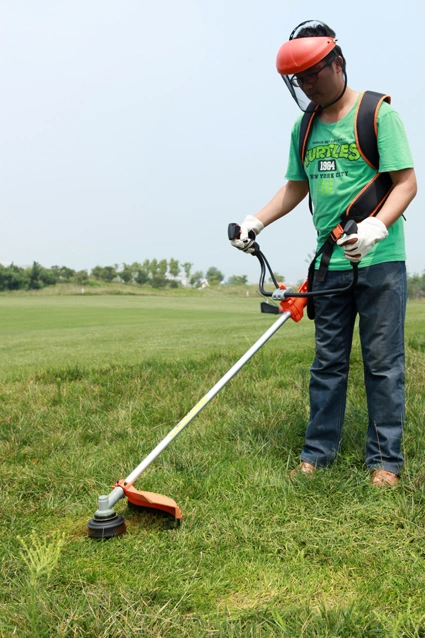 Type de débroussailleuse à dos Cg430 avec coupe-herbe Tb43 Tl43 43cc 1.25kw