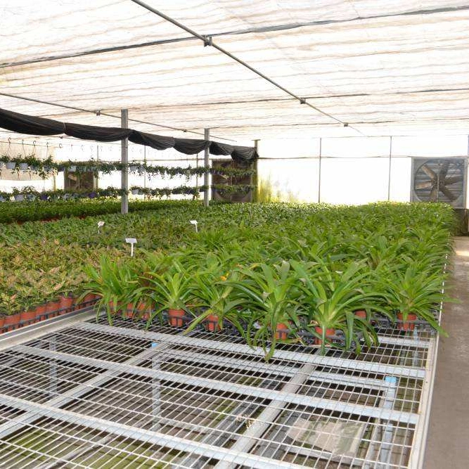 Estándar de bajo precio personalizado invernaderos agrícolas abarcan varios productos de jardinería horticultura invernaderos semilleros viveros Xinhe