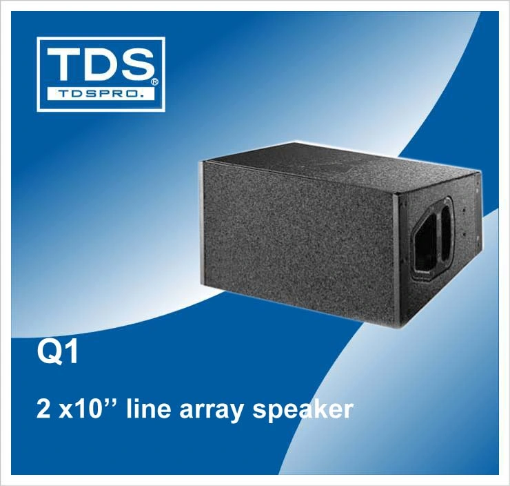 Q1+Q sous la double enceinte de line array 10inch système pour la musique live