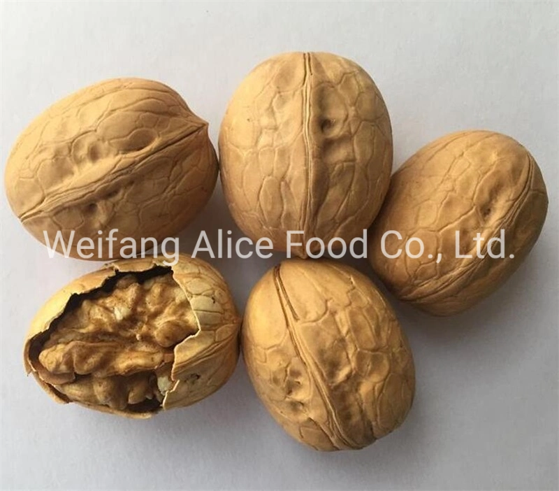 Healthy Snack Ingredient Walnut Kernels Walnut