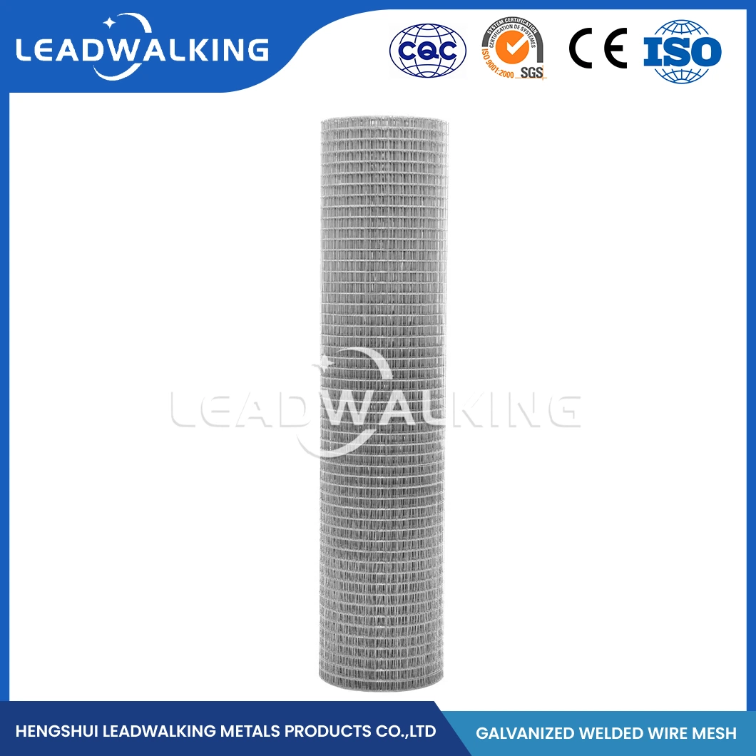 Leadwalking Welded Plastic Coated Wire Mesh Wholesaler ODM Custom 12 Gauge Vinyl Coated Welded Wire Fencing China 19.0X19.0mm 2X2 Galvan Weld Wire Mesh