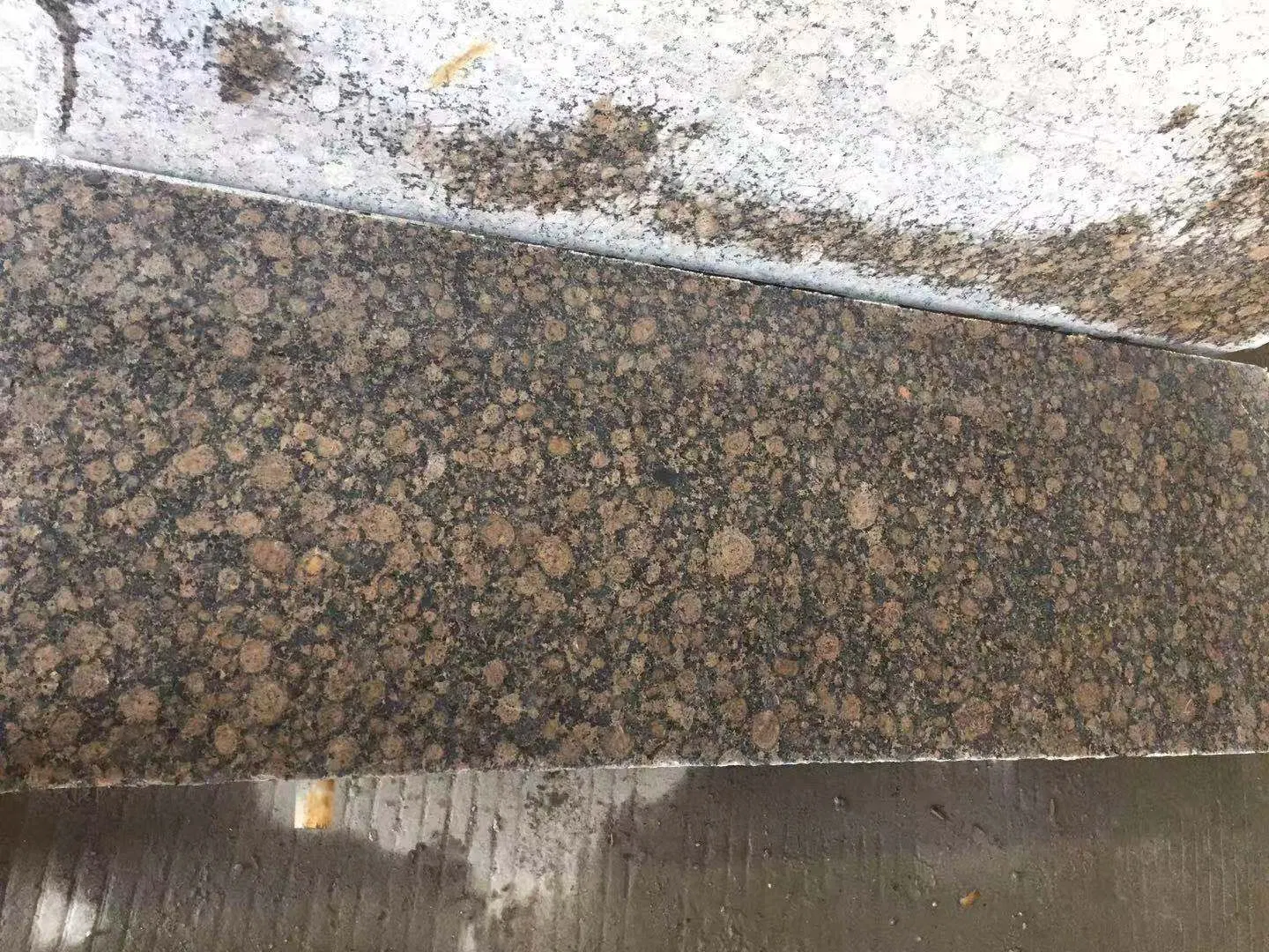 Carreaux en pierre naturelle poli granit brun Baltique pour carreaux de sol