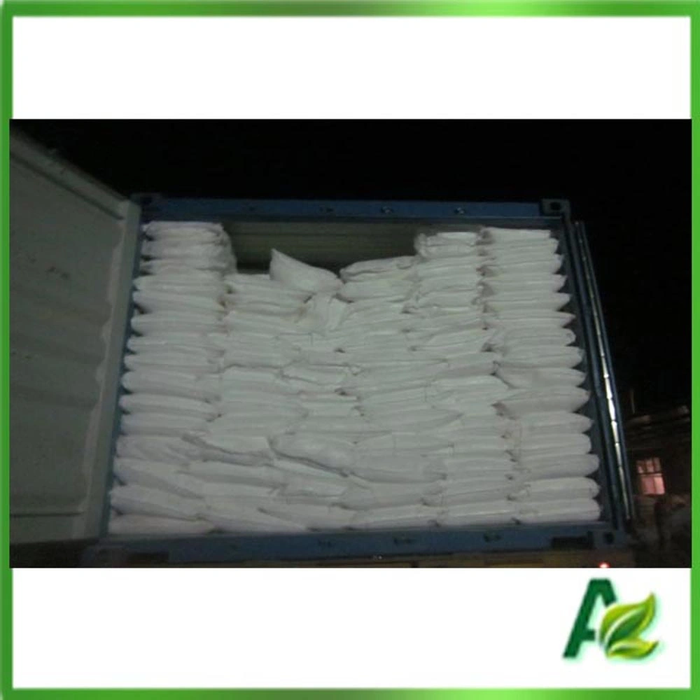 Food Grade Preservative Sodium Benzoate Powder Made in China