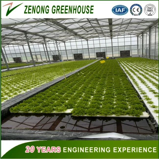 China Hot Sale Greenhouse Covered with PC Board for Exhibition/Seed-Breeding/Flower/Vegetable/Ecological Restaurant/Scientific Research/Garden