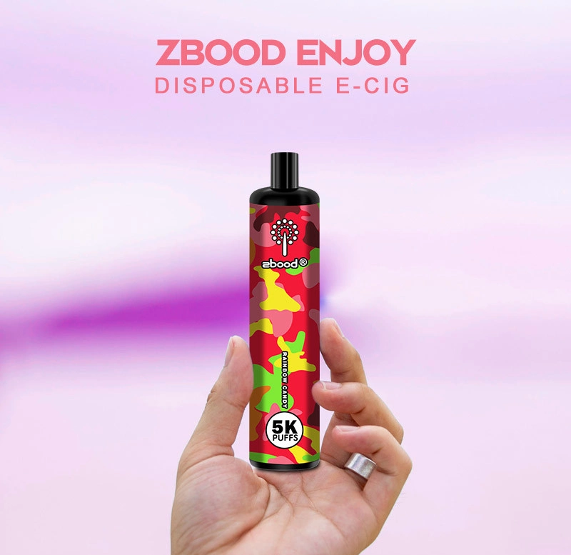 Zbood Customize Enjoy 5000 Puff Type C Disposable Vape Pen Pod Gear 10000 7000 Puff E Cigarette Vape