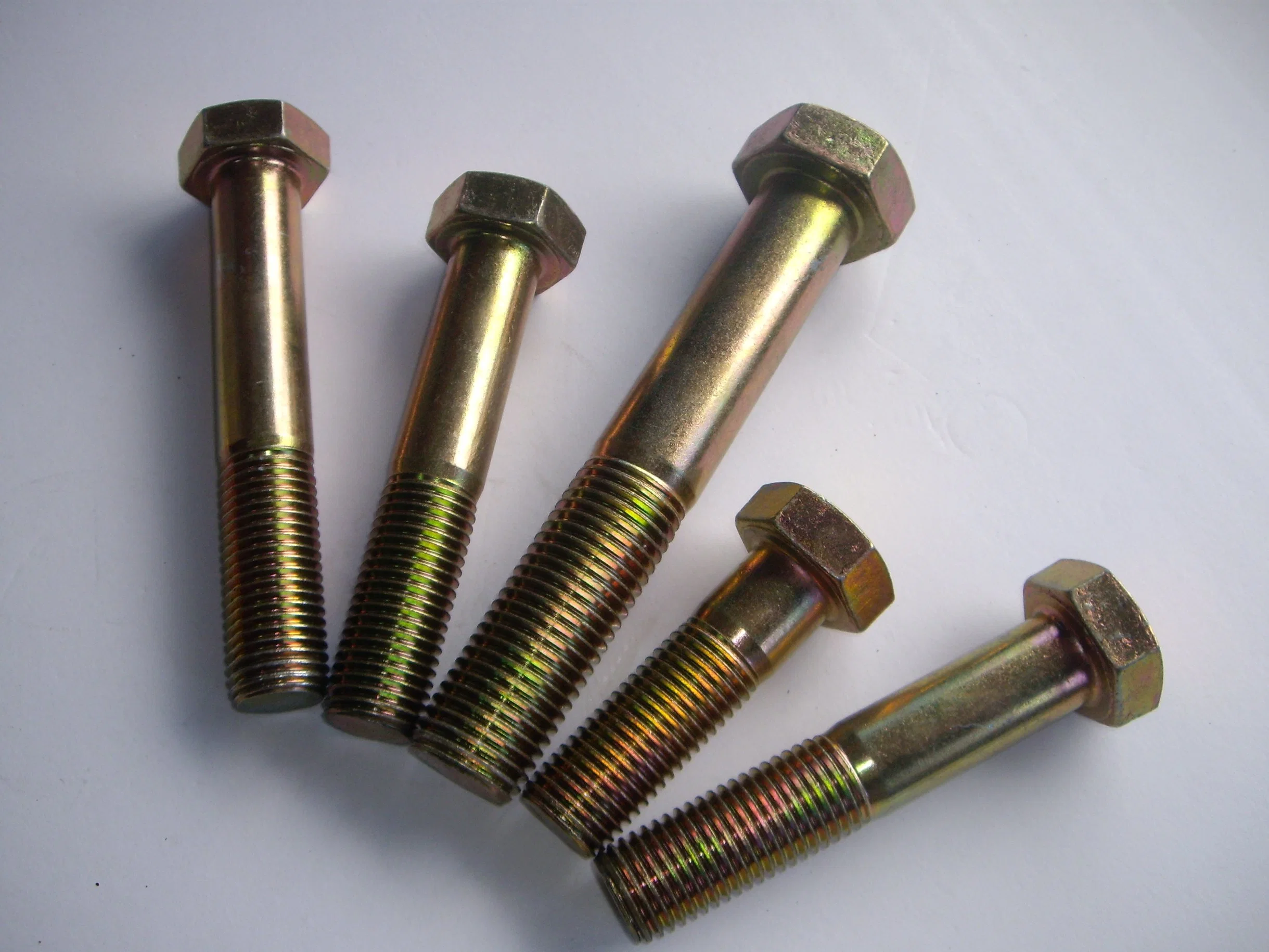 Hexagon Head Screw Hex Bolt with Customized China Fastener